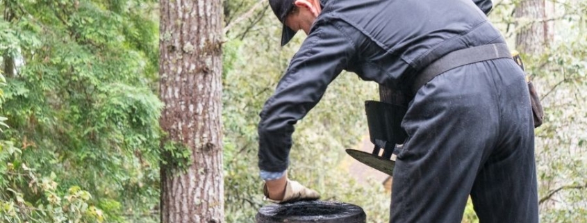 Derince Baca Bakım Hizmeti